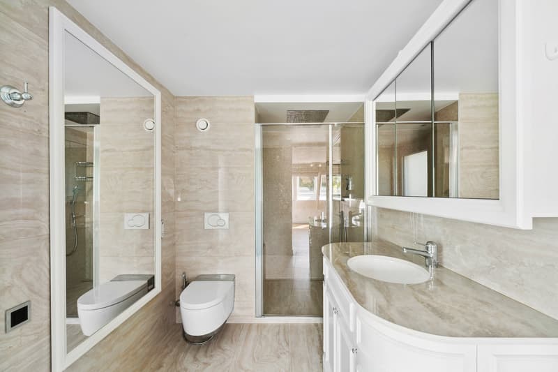 Luxurious triplex (6)