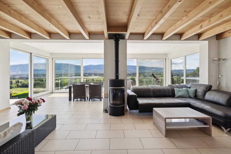 Rara villa individuale con piscina affacciata sui vigneti (2)
