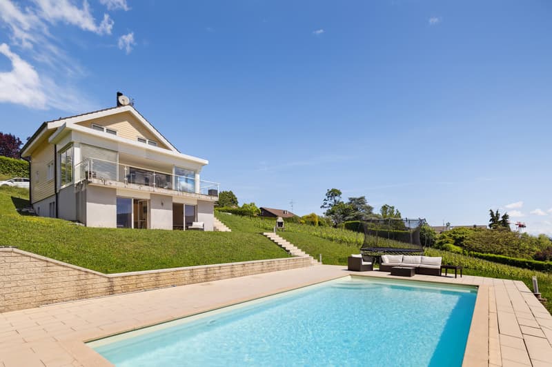 Rara villa individuale con piscina affacciata sui vigneti (4)