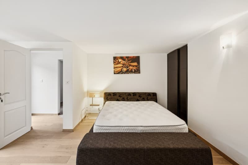 Charming house in Collonge-Bellerive (12)