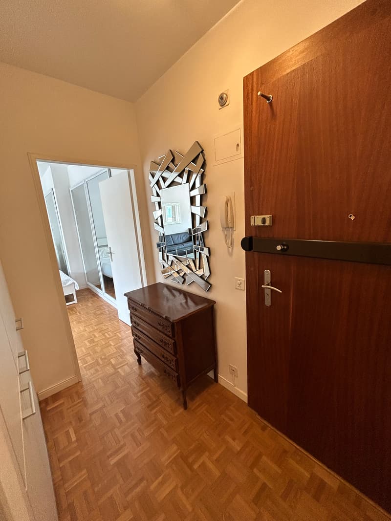 Großes Studio (2 Zimmer) möbliert mit Loggia und Zugang zu einem magnifizierten Pa (6)