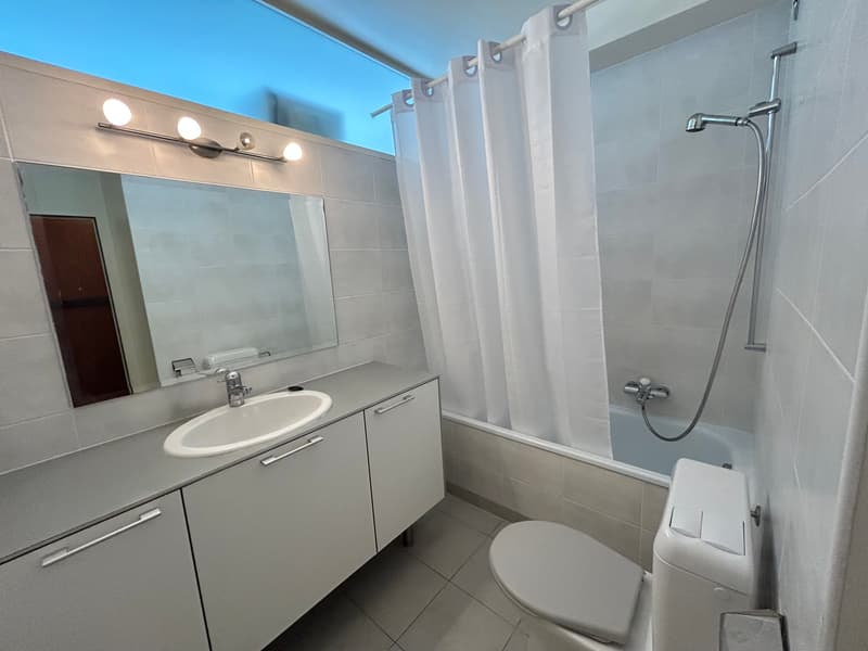 Großes Studio (2 Zimmer) möbliert mit Loggia und Zugang zu einem magnifizierten Pa (5)