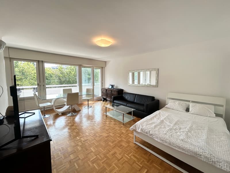 Großes Studio (2 Zimmer) möbliert mit Loggia und Zugang zu einem magnifizierten Pa (2)