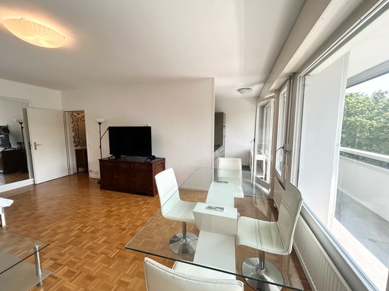 Großes Studio (2 Zimmer) möbliert mit Loggia und Zugang zu einem magnifizierten Pa (3)