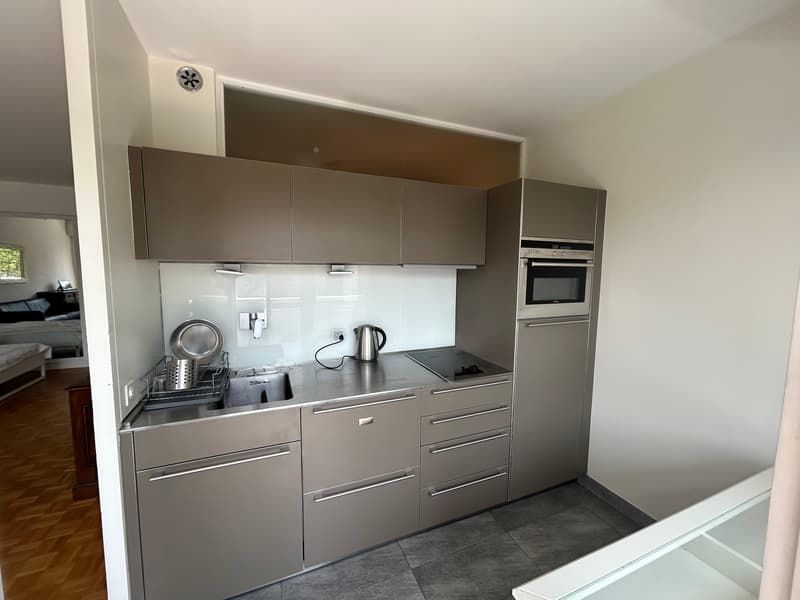 Großes Studio (2 Zimmer) möbliert mit Loggia und Zugang zu einem magnifizierten Pa (4)