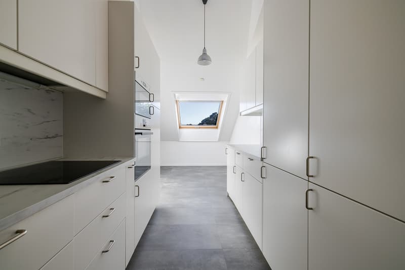 Appartement au dernier étage avec rooftop au Petit-Saconnex (5)