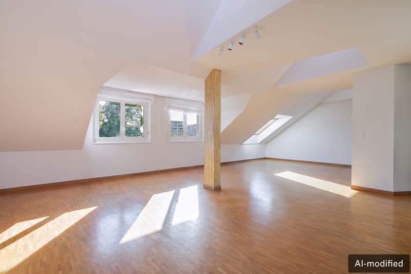 Appartement au dernier étage avec rooftop au Petit-Saconnex (2)