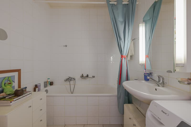 Appartement lumineux avec vue sur le Salève au coeur de Champel (7)