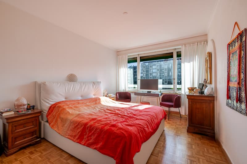 Appartement lumineux avec vue sur le Salève au coeur de Champel (6)