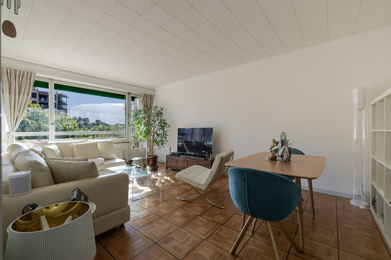 Appartement lumineux avec vue sur le Salève au coeur de Champel (2)