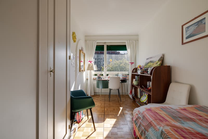 Appartement lumineux avec vue sur le Salève au coeur de Champel (8)