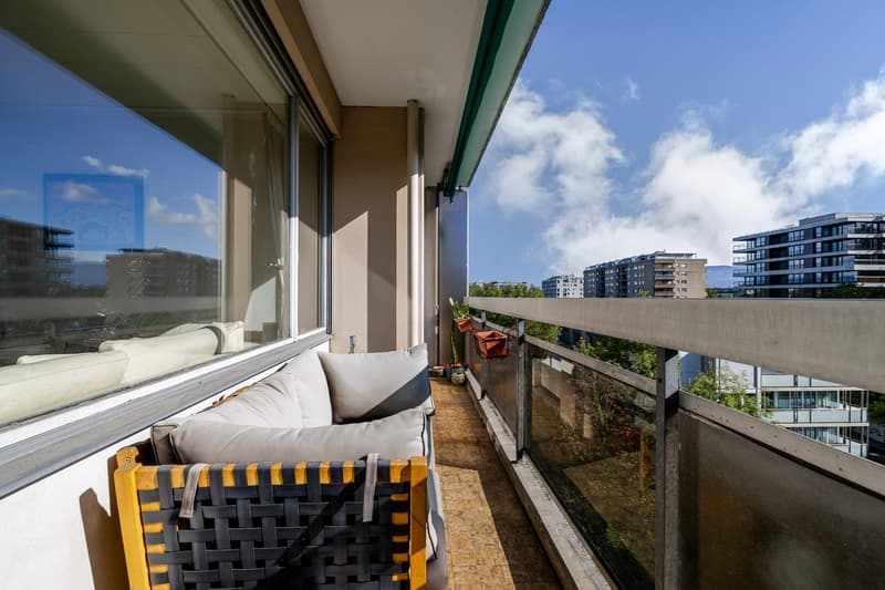 Appartement lumineux avec vue sur le Salève au coeur de Champel (5)