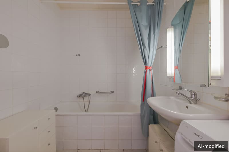 Appartement lumineux avec vue sur le Salève au coeur de Champel (8)