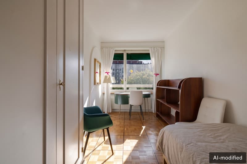 Appartement lumineux avec vue sur le Salève au coeur de Champel (7)