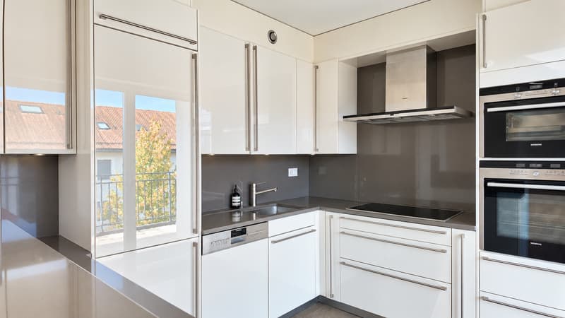 Somptueux attique en duplex (2)