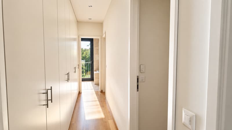Somptueux attique en duplex (6)