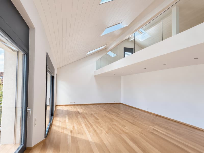 Somptueux attique en duplex (3)