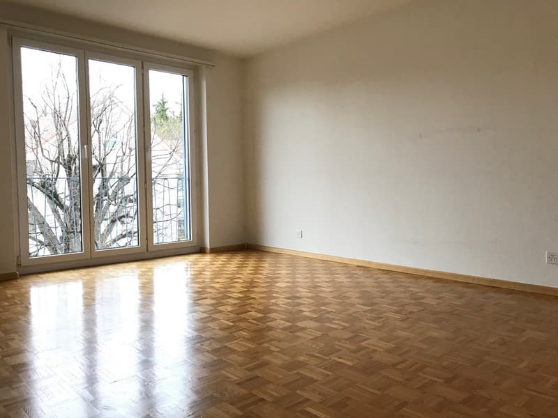 Baselmatt170_2.jpg
