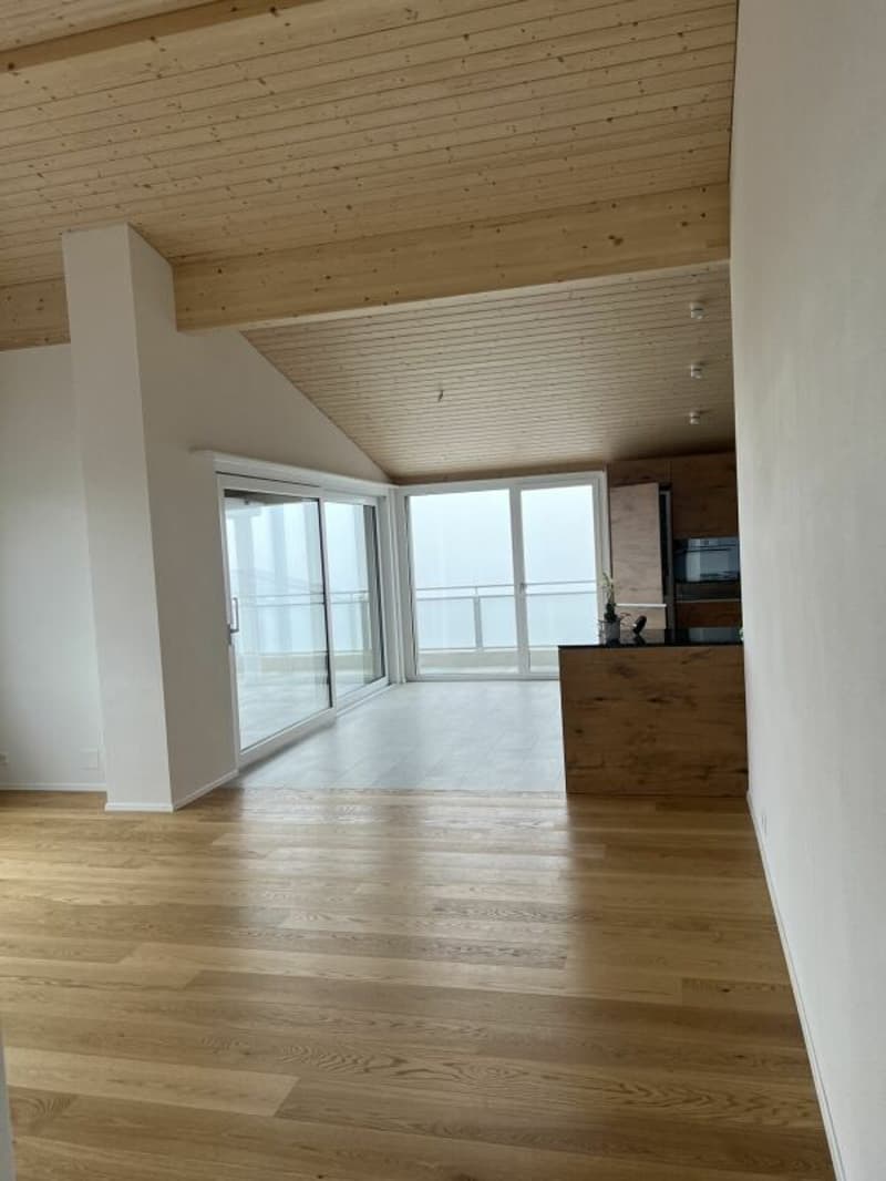 Appartamento di lusso sul tetto con vista mozzafiato (22)