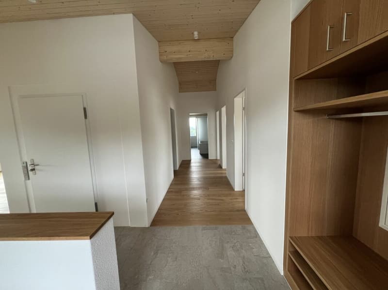 Appartamento di lusso sul tetto con vista mozzafiato (3)
