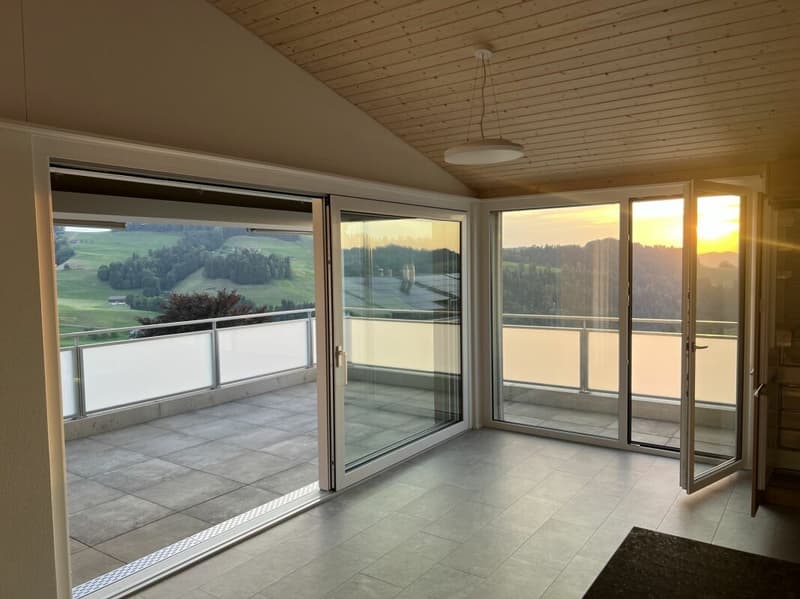 Luxury penthouse apartment with breathtaking views (2)