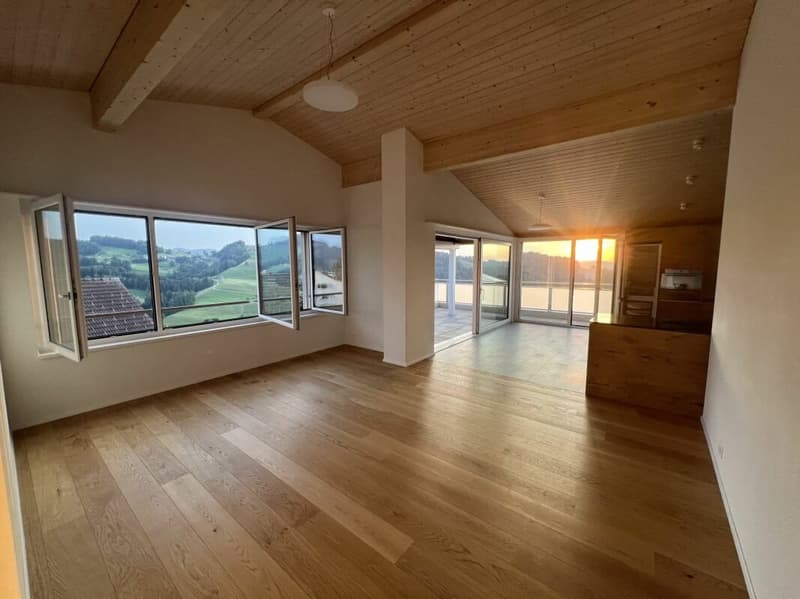 Luxury penthouse apartment with breathtaking views (1)