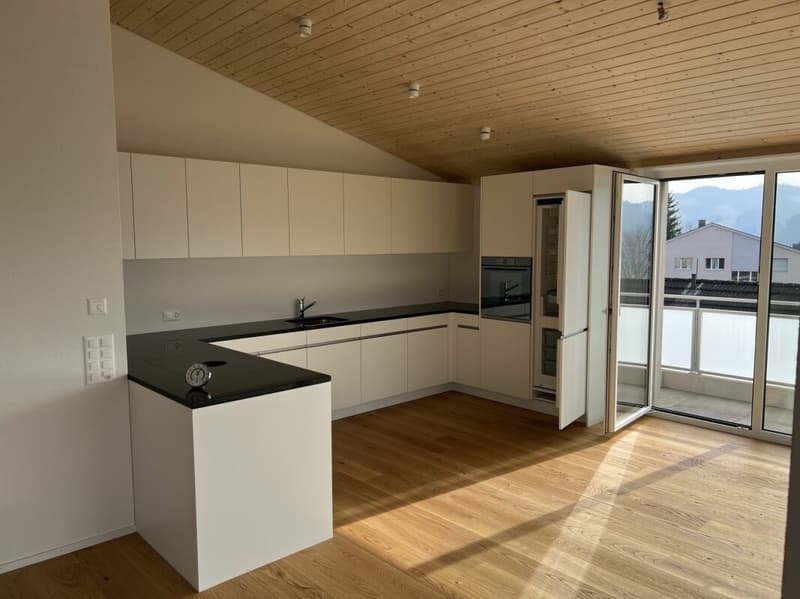 Modern attic apartment with a great view C4.1 (17)