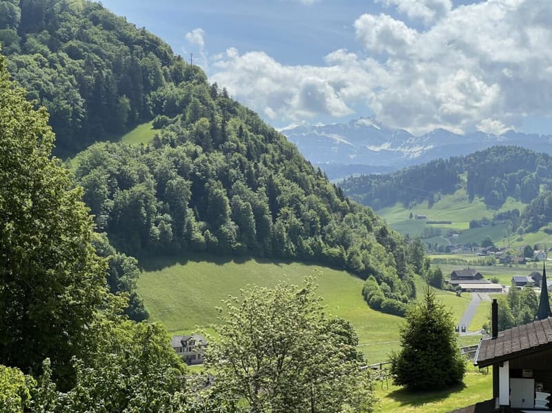 Säntisblick