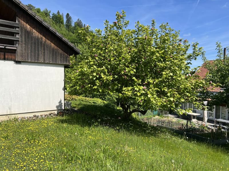 Single-family house with Säntis view (23)