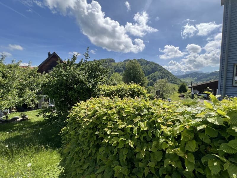 Single-family house with Säntis view (8)