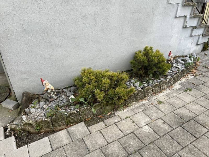 Two-family house in tax-friendly Horn (12)