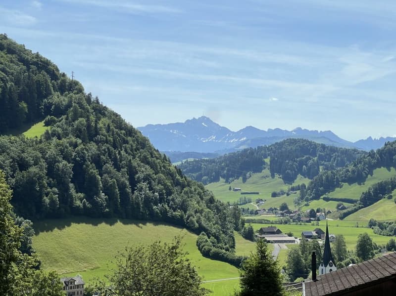 Single-family house with Säntis view (3)