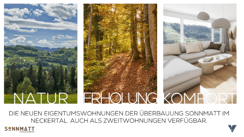 Überbauung Sonnmatt: Wg. C 2.1 (2. Wohnsitzbewilligung) (37)