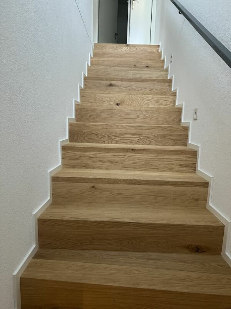 Grosszügige Maisonette für Wohnen und Arbeiten - A3.2 (17)