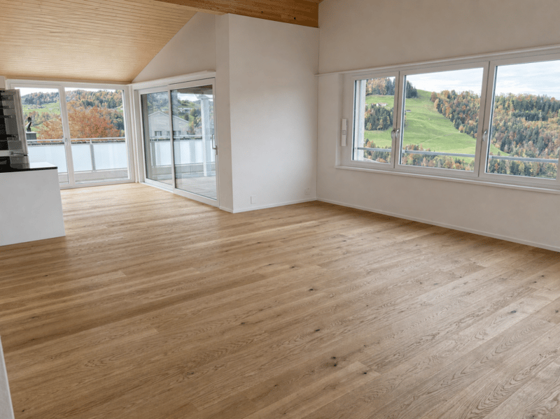 Gesund wohnen mit Weitsicht - 4½-Zimmer-Dachwohnung C4.1 (45)