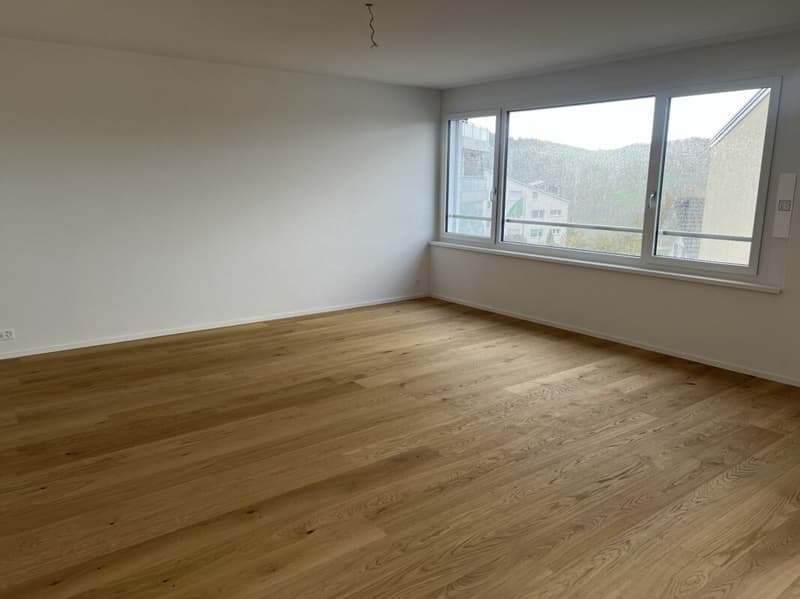 Gesund wohnen mit Weitsicht - 4½-Zimmer-Dachwohnung C4.1 (5)