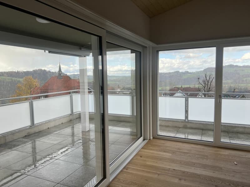 Gesund wohnen mit Weitsicht - 4½-Zimmer-Dachwohnung C4.1 (2)