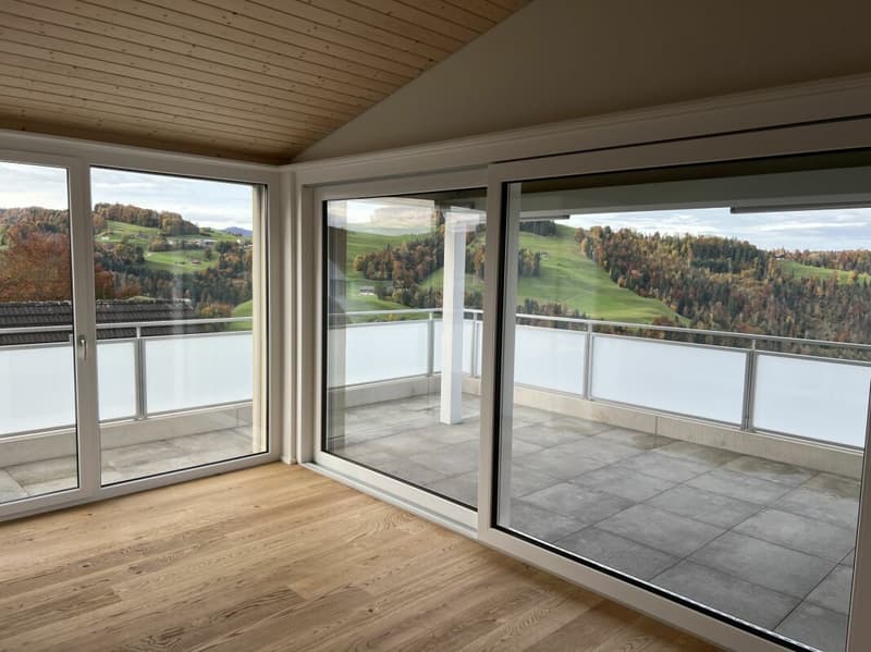 Gesund wohnen mit Weitsicht - 4½-Zimmer-Dachwohnung C4.1 (47)