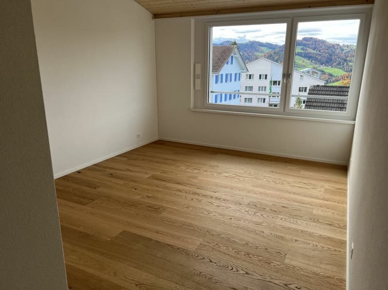 Gesund wohnen mit Weitsicht - 4½-Zimmer-Dachwohnung C4.1 (44)
