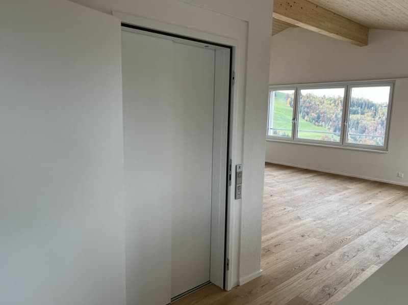 Gesund wohnen mit Weitsicht - 4½-Zimmer-Dachwohnung C4.1 (50)