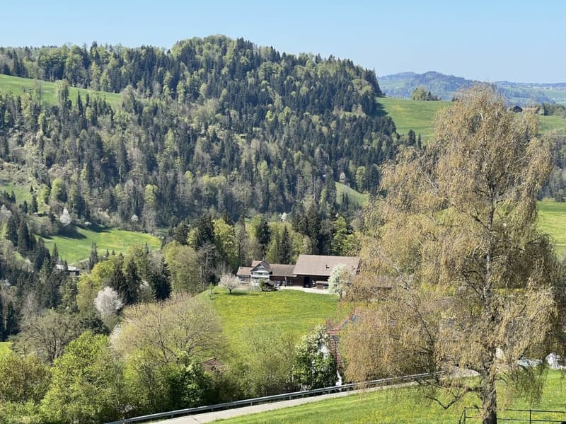 Gesund wohnen und arbeiten mit Weitsicht - A4.1 (41)