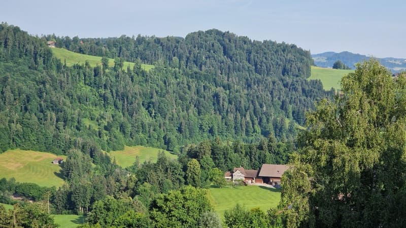 Gesund wohnen mit Weitsicht - Zweitwohnung A4.2 (30)