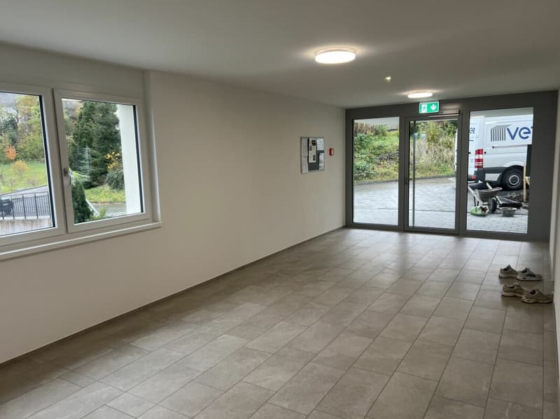 Arbeiten mit Weitblick - 5½-Zimmer-Wohnung A3.1 (3)