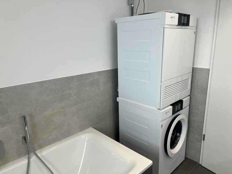 Arbeiten mit Weitblick - 5½-Zimmer-Wohnung A3.1 (7)