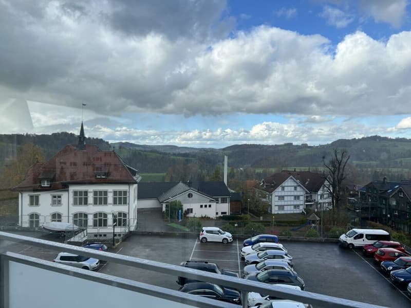 Arbeiten mit Weitblick - 5½-Zimmer-Wohnung A3.1 (9)