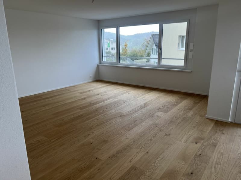 Arbeiten mit Weitblick - 5½-Zimmer-Wohnung A3.1 (6)