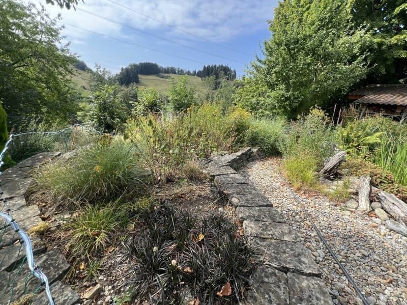Freiheit braucht Raum - Naturrefugium Rotenfluh 952 (8)