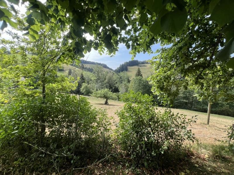 Freiheit braucht Raum - Naturrefugium Rotenfluh 952 (4)