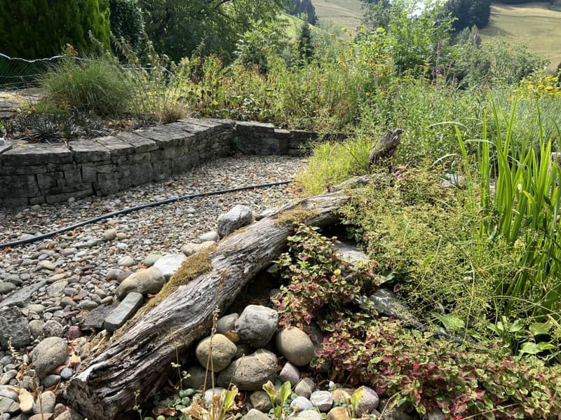 Freiheit braucht Raum - Naturrefugium Rotenfluh 952 (9)