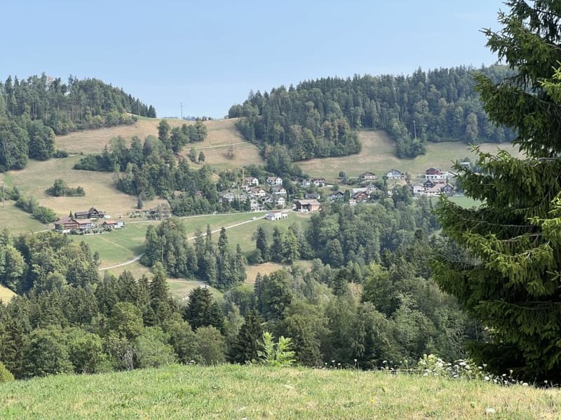 Freiheit braucht Raum - Naturrefugium Rotenfluh 952 (1)